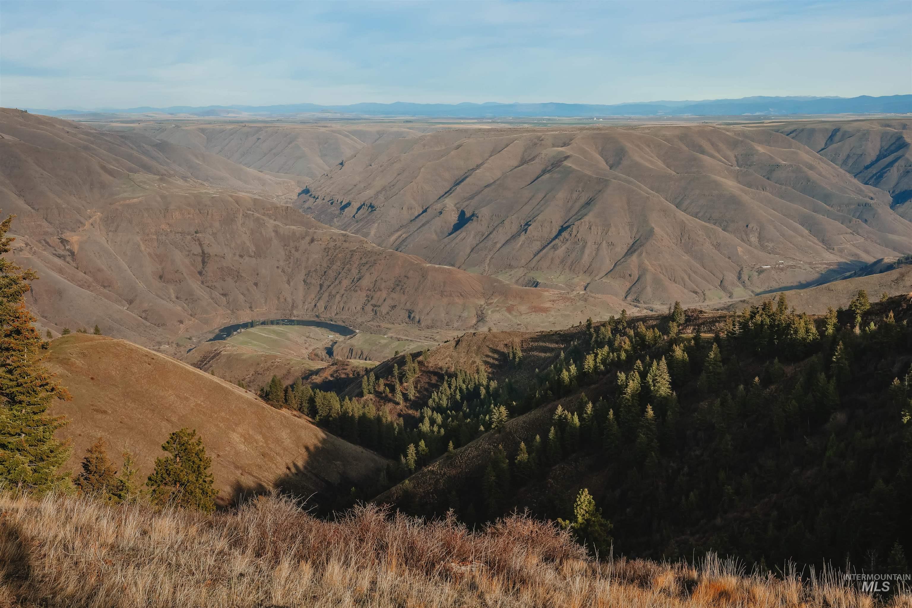 Tbd Boles Road Cottonwood, ID 83522 - Photo 26 of 49 View of mountain background