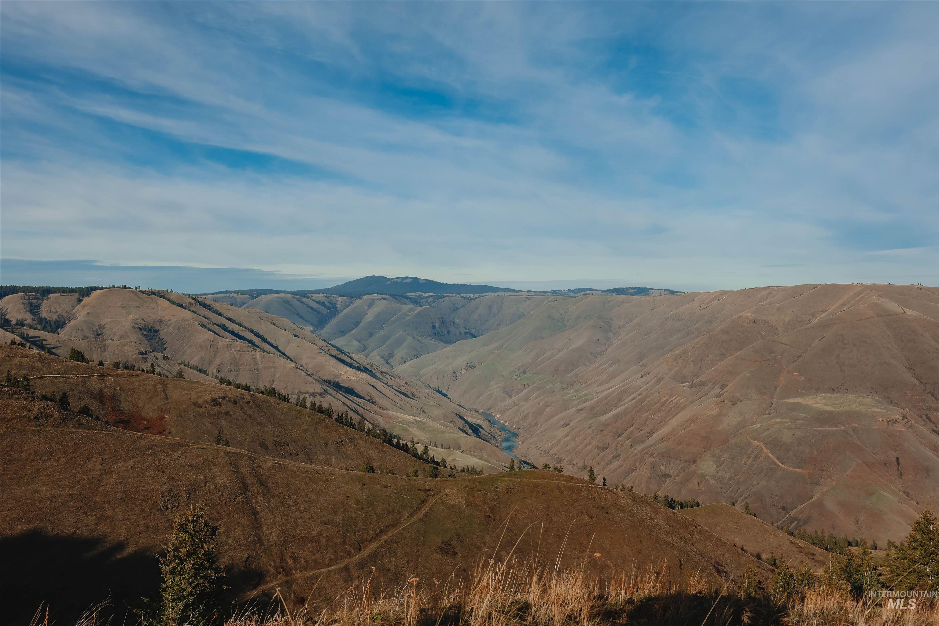 Tbd Boles Road Cottonwood, ID 83522 - Photo 29 of 49 View of mountain backdrop