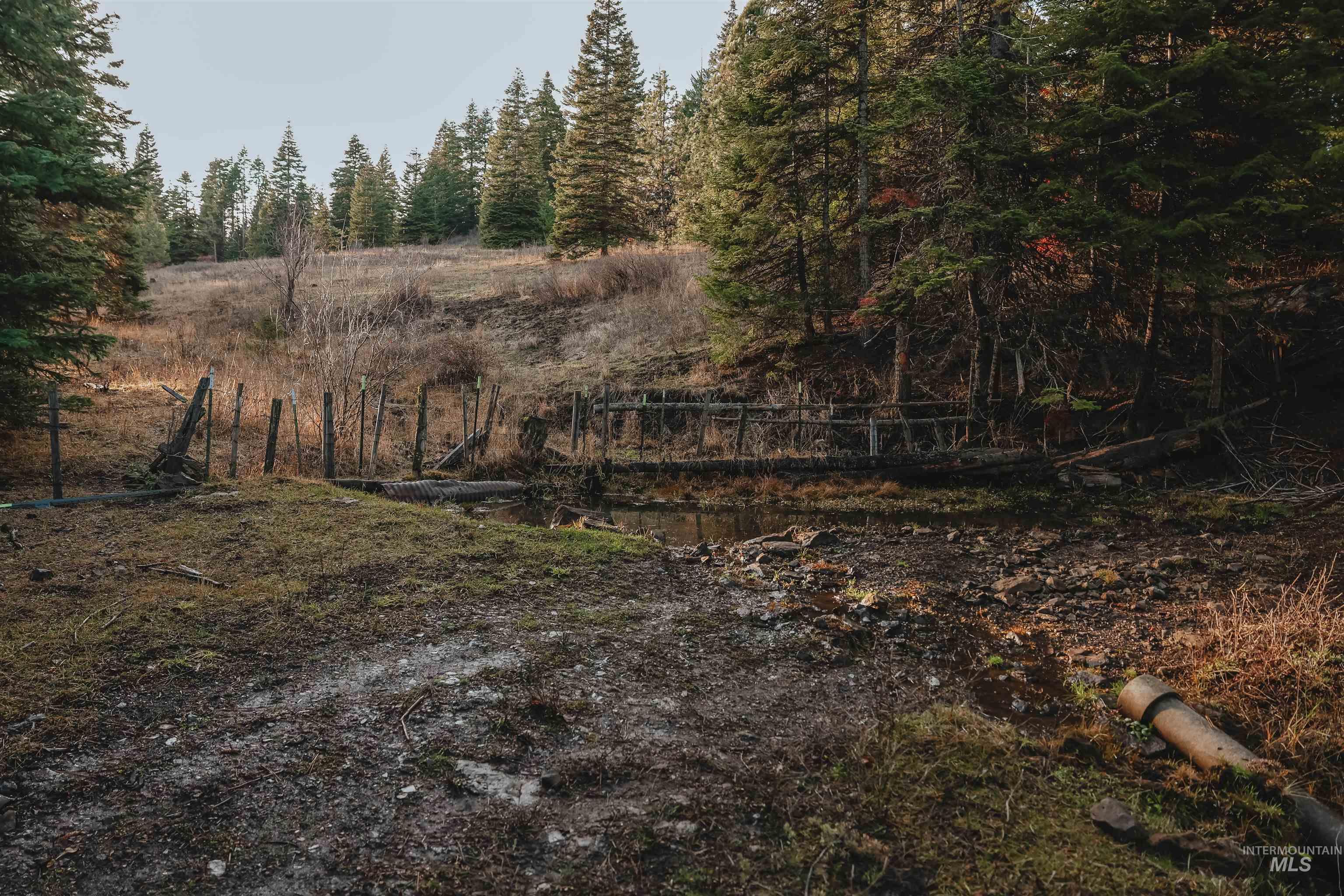 Tbd Boles Road Cottonwood, ID 83522 - Photo 30 of 49 View of yard