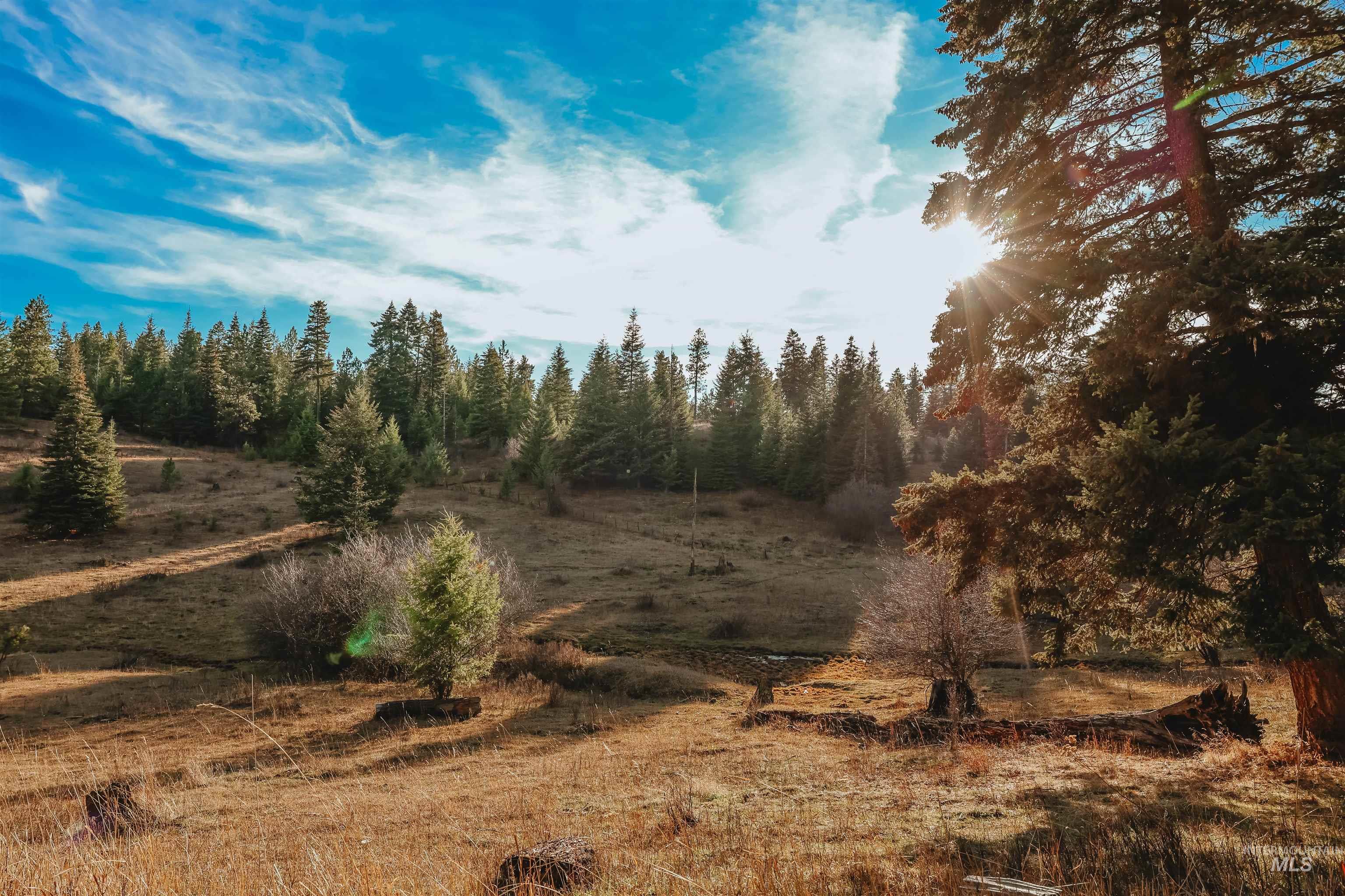 Tbd Boles Road Cottonwood, ID 83522 - Photo 3 of 49 View of local wilderness