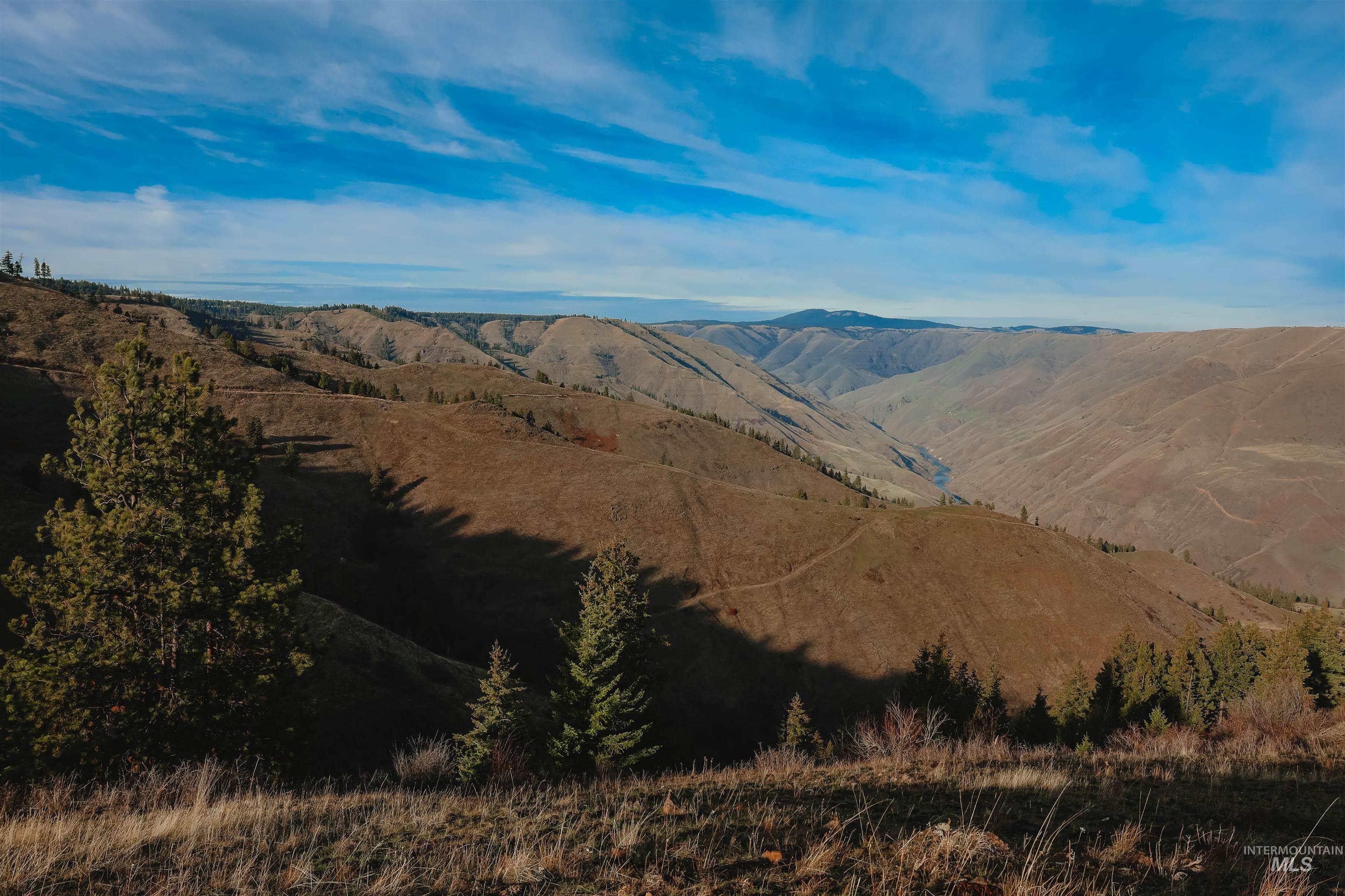 Tbd Boles Road Cottonwood, ID 83522 - Photo 32 of 49 Mountain view
