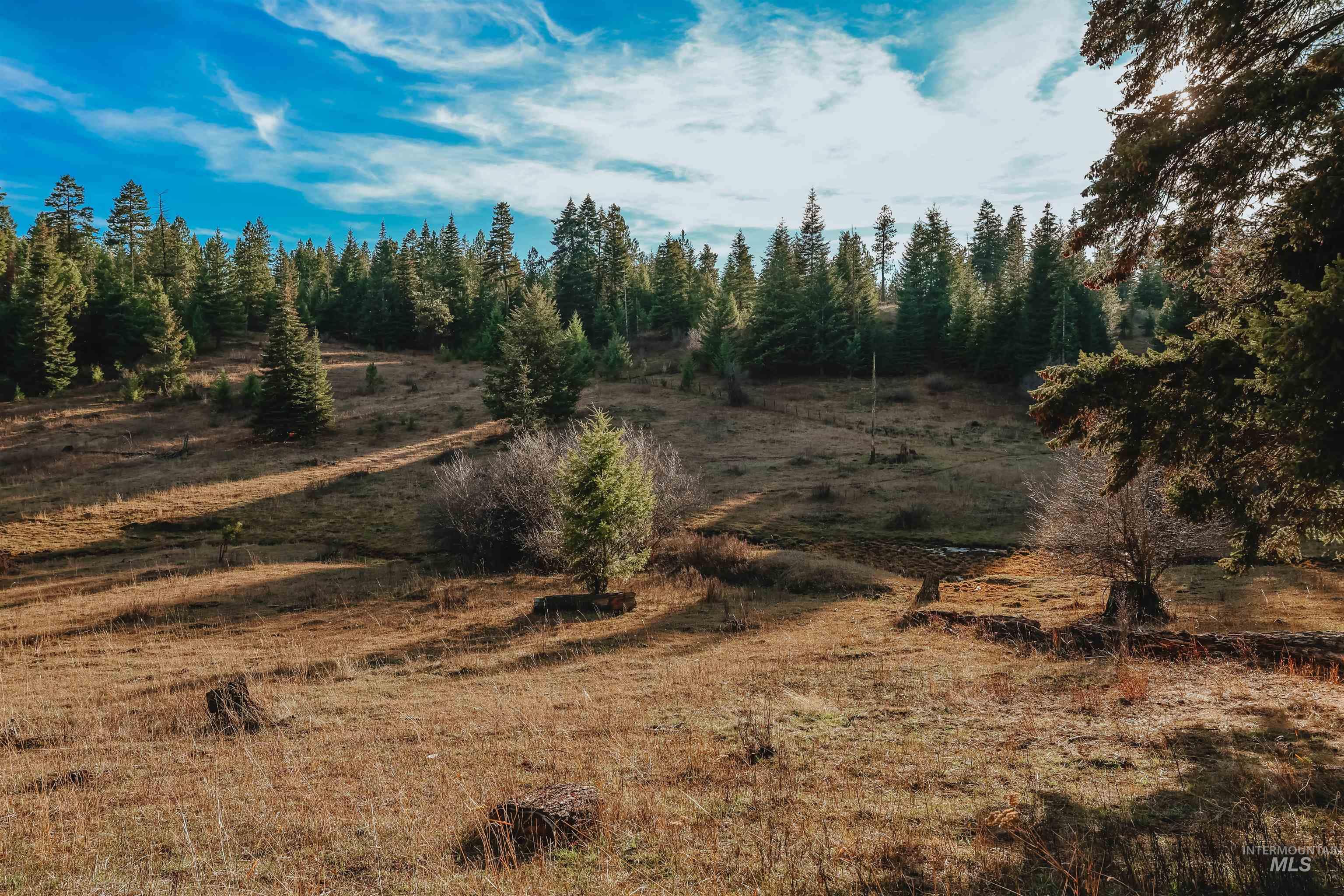 Tbd Boles Road Cottonwood, ID 83522 - Photo 34 of 49 View of nature
