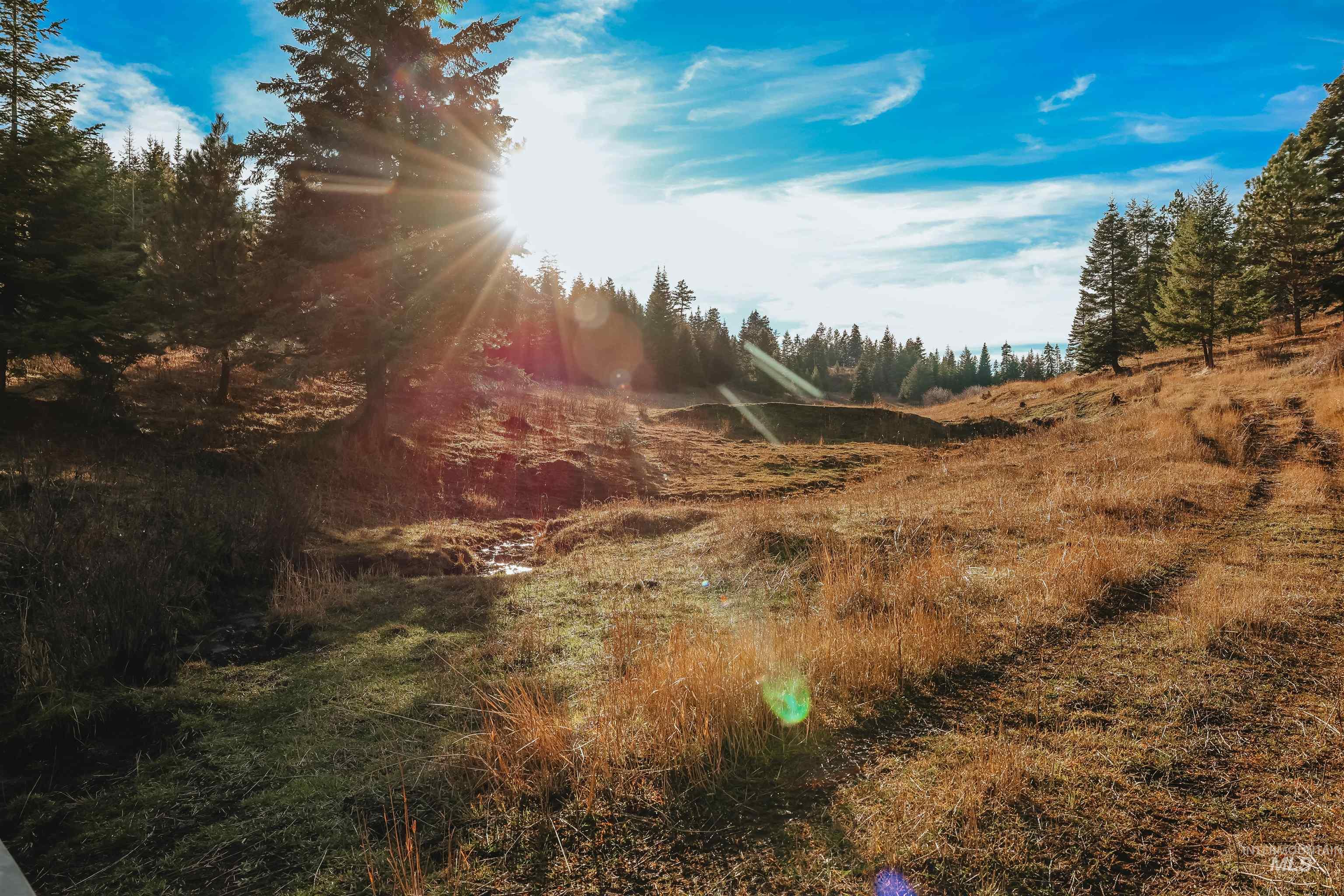 Tbd Boles Road Cottonwood, ID 83522 - Photo 36 of 49 View of undeveloped land