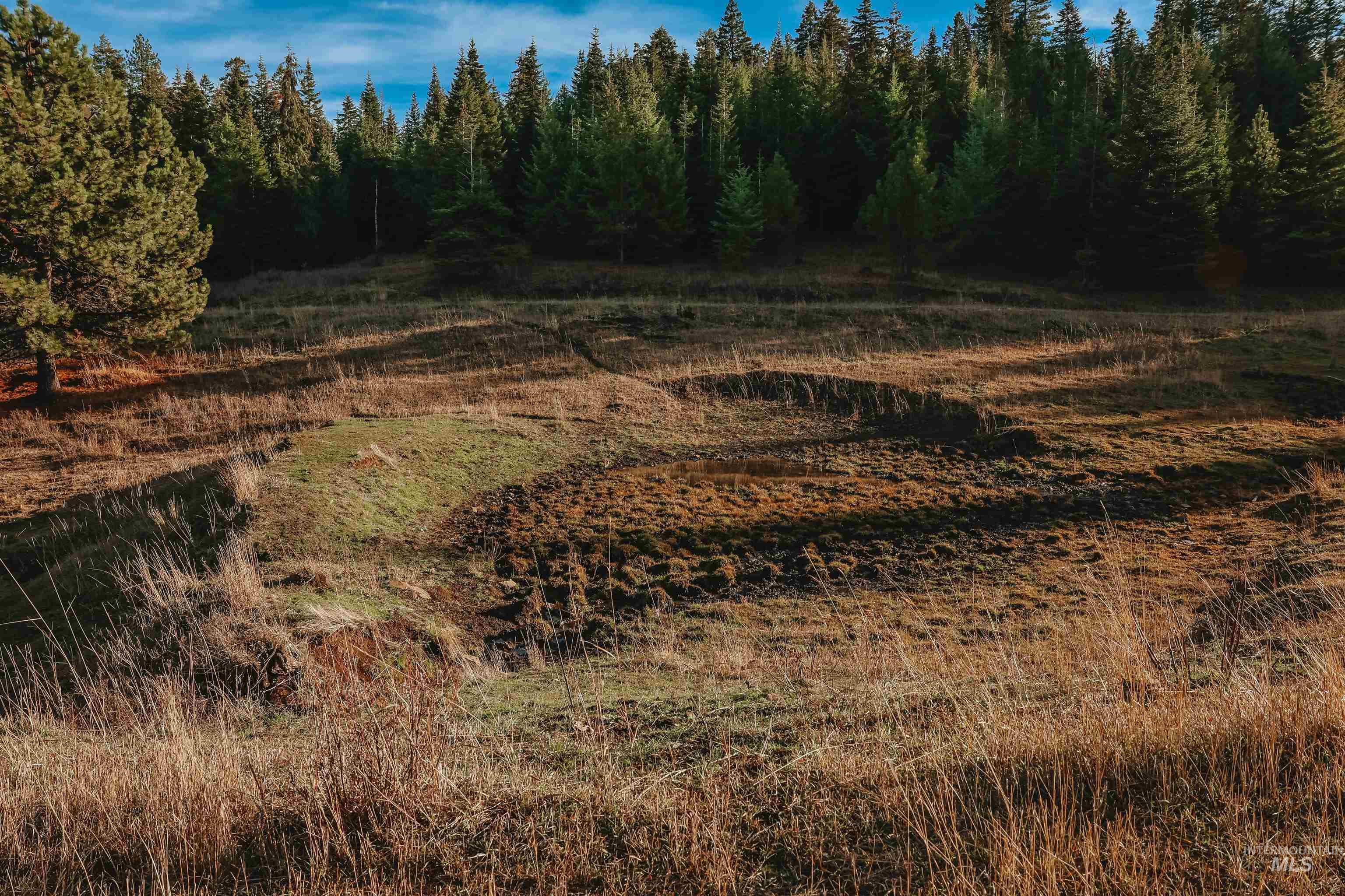 Tbd Boles Road Cottonwood, ID 83522 - Photo 37 of 49 View of yard