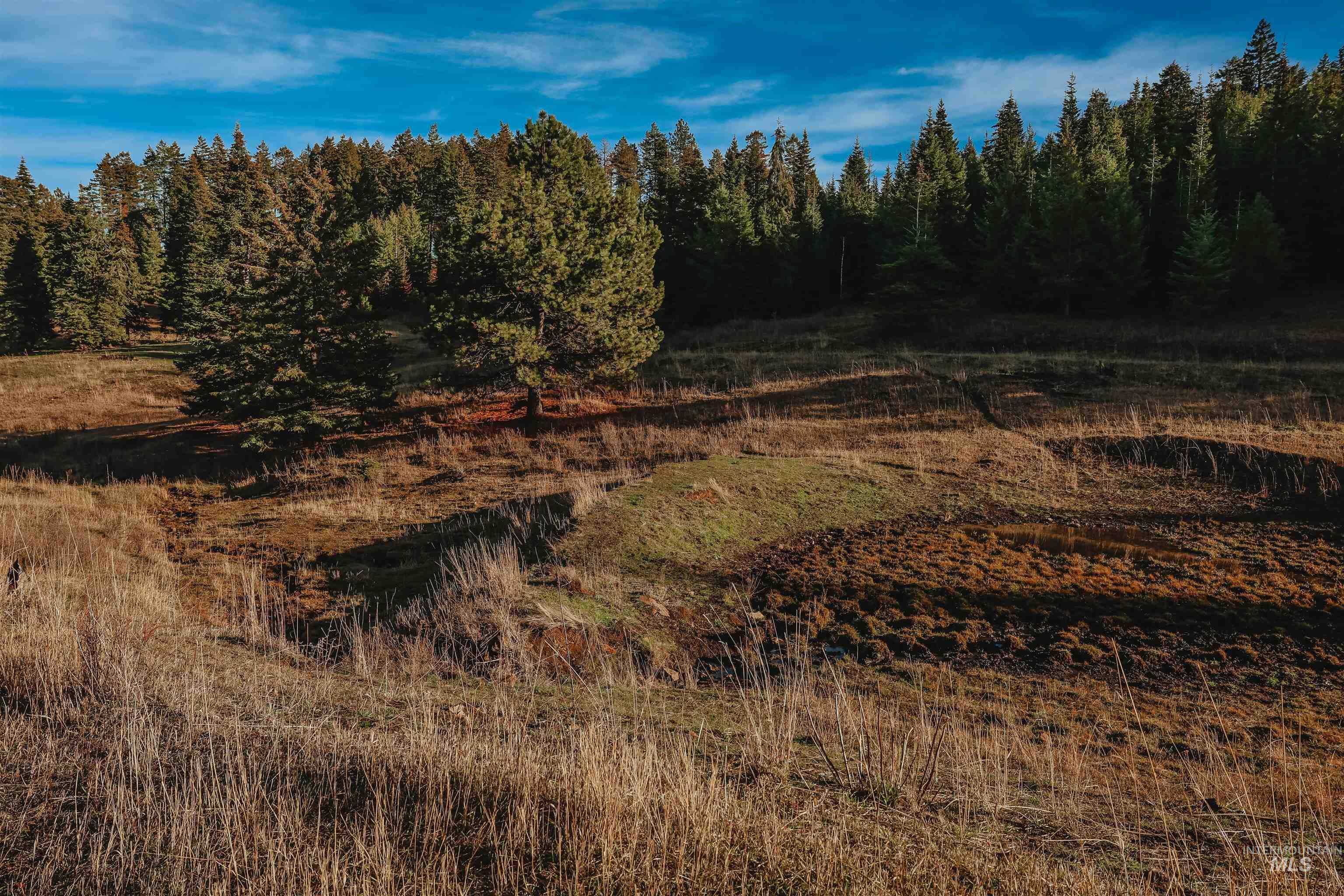 Tbd Boles Road Cottonwood, ID 83522 - Photo 38 of 49 View of nature