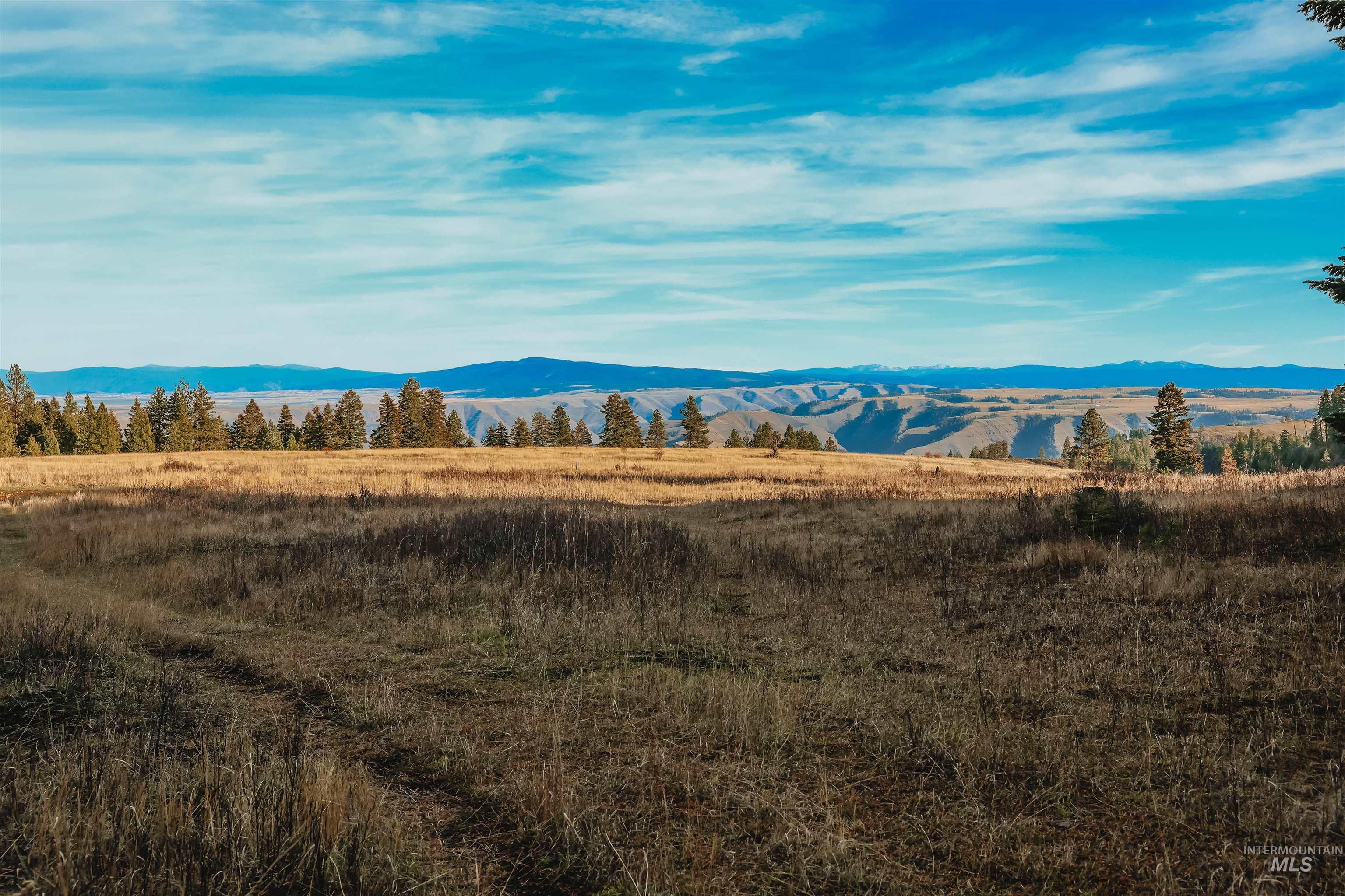 Tbd Boles Road Cottonwood, ID 83522 - Photo 39 of 49 Mountain view featuring rural landscape