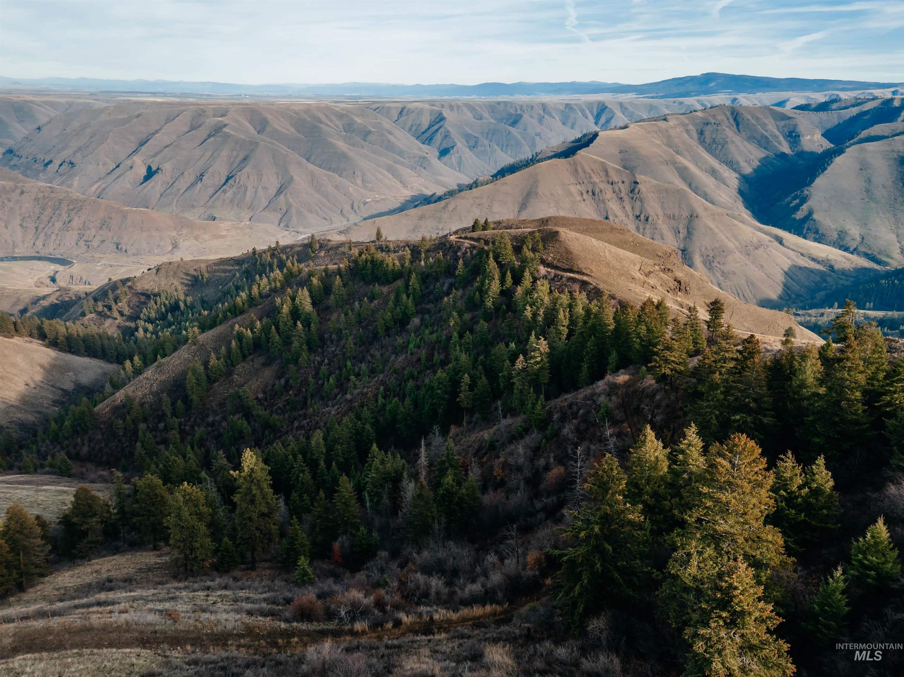 Tbd Boles Road Cottonwood, ID 83522 - Photo 4 of 49 View of mountain backdrop