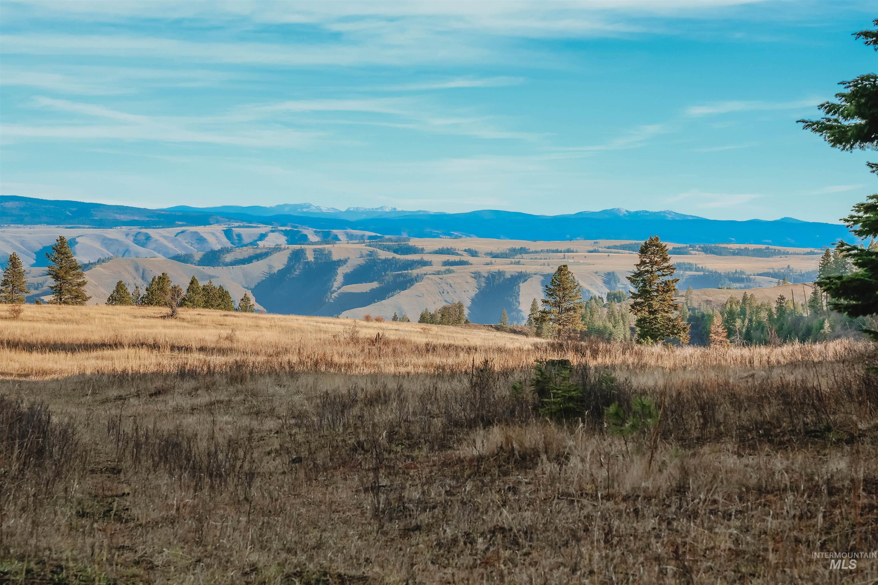 Tbd Boles Road Cottonwood, ID 83522 - Photo 41 of 49 View of mountain backdrop with rural landscape