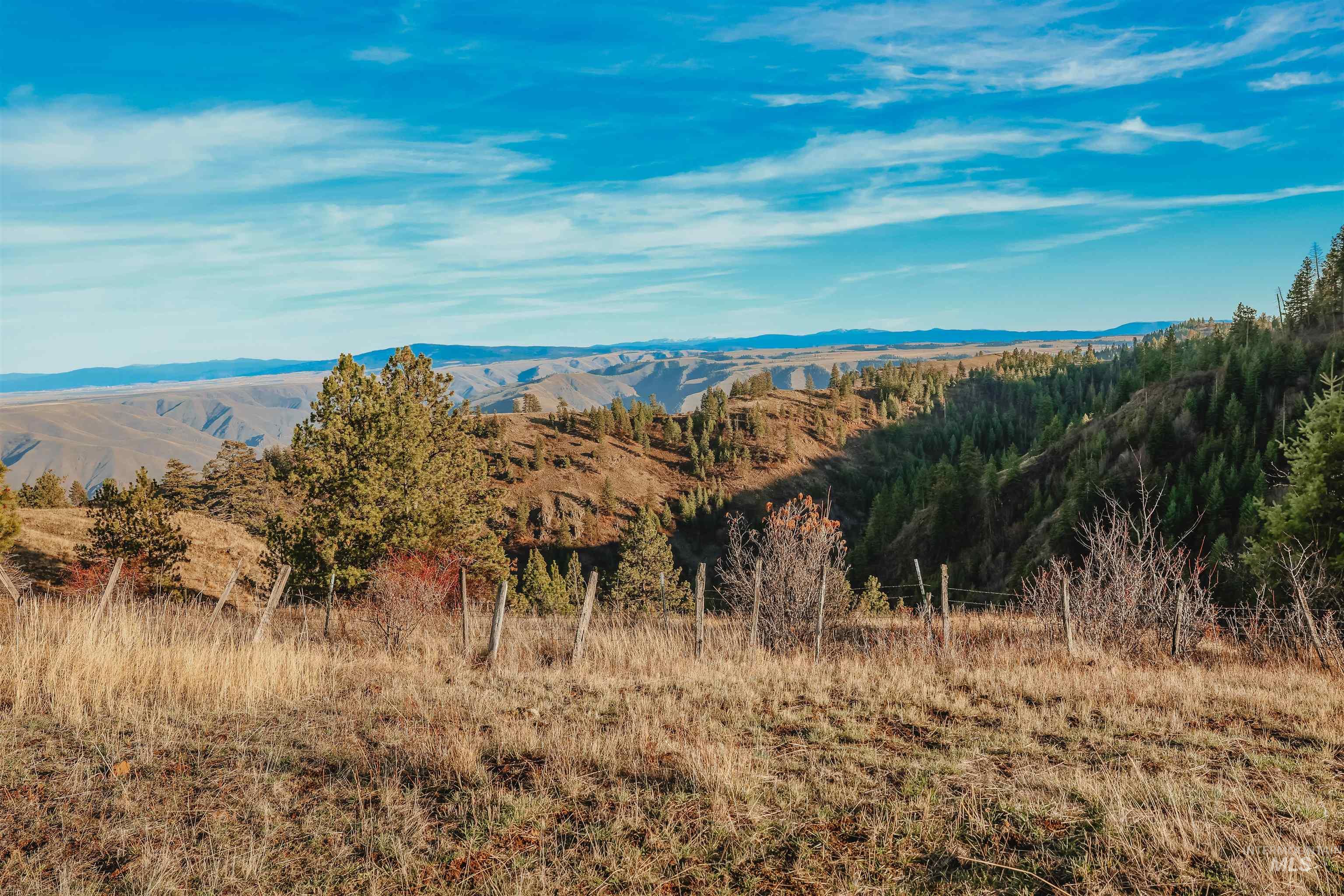 Tbd Boles Road Cottonwood, ID 83522 - Photo 42 of 49 View of mountain background featuring a heavily wooded area