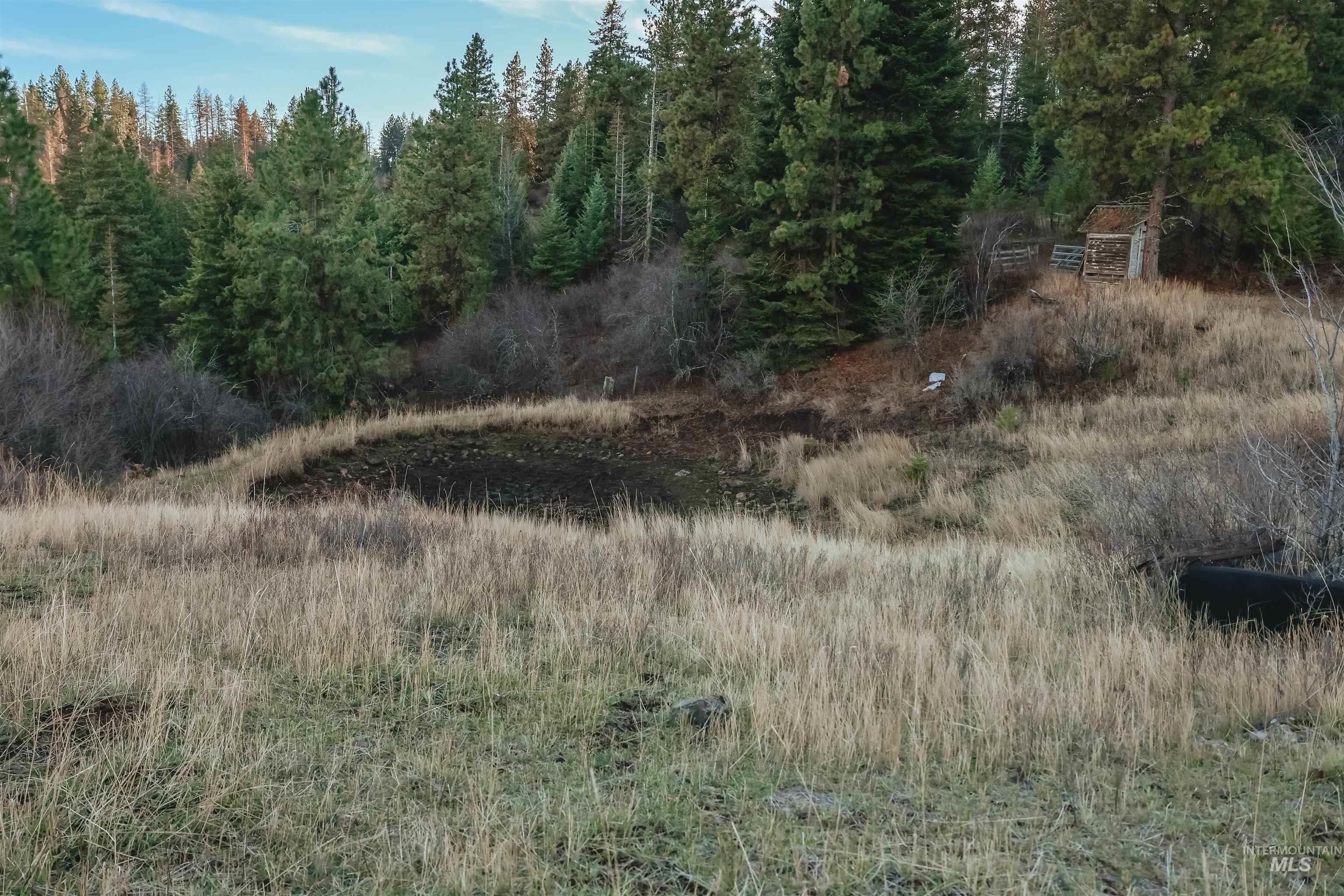 Tbd Boles Road Cottonwood, ID 83522 - Photo 43 of 49 View of undeveloped land