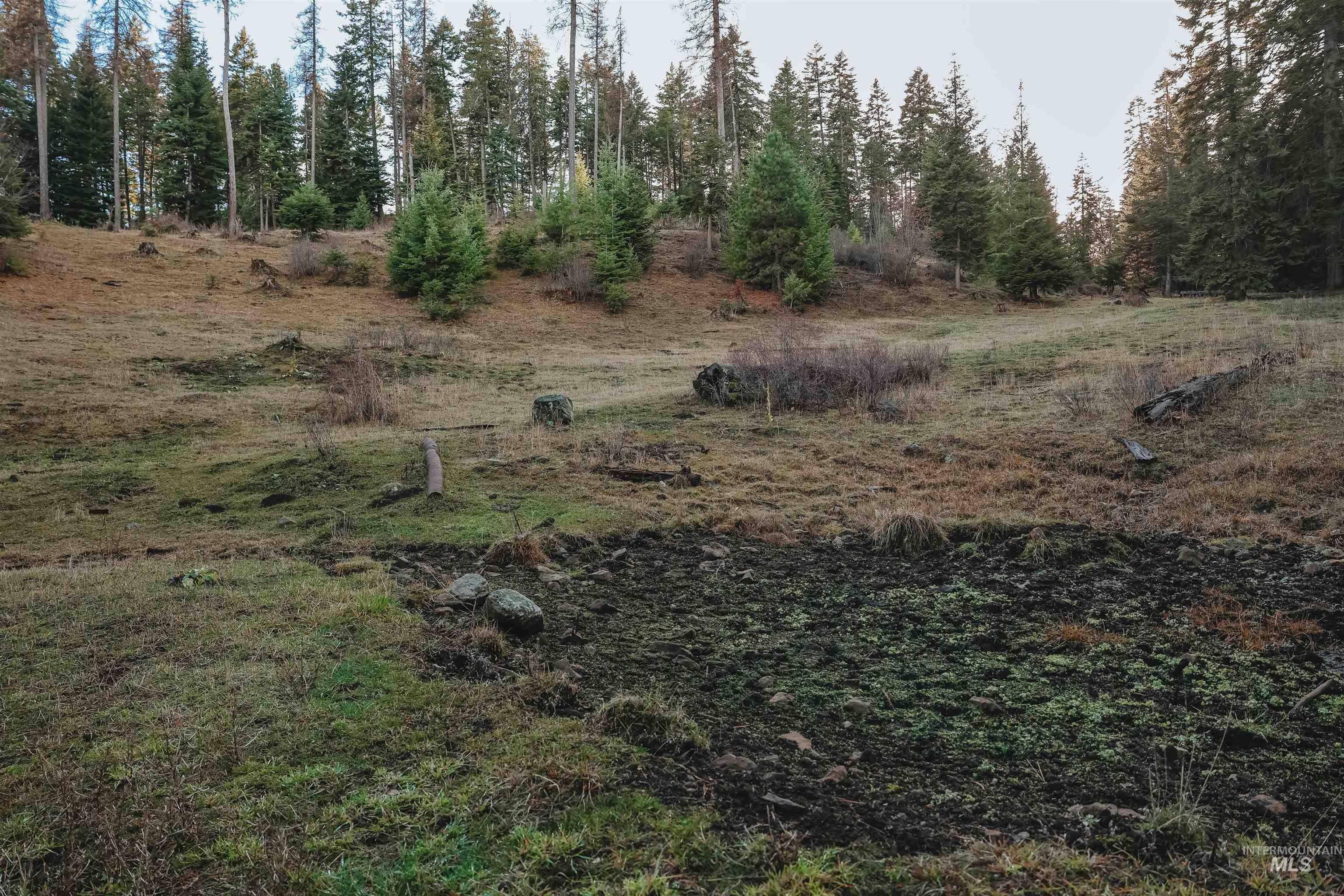 Tbd Boles Road Cottonwood, ID 83522 - Photo 44 of 49 View of local wilderness