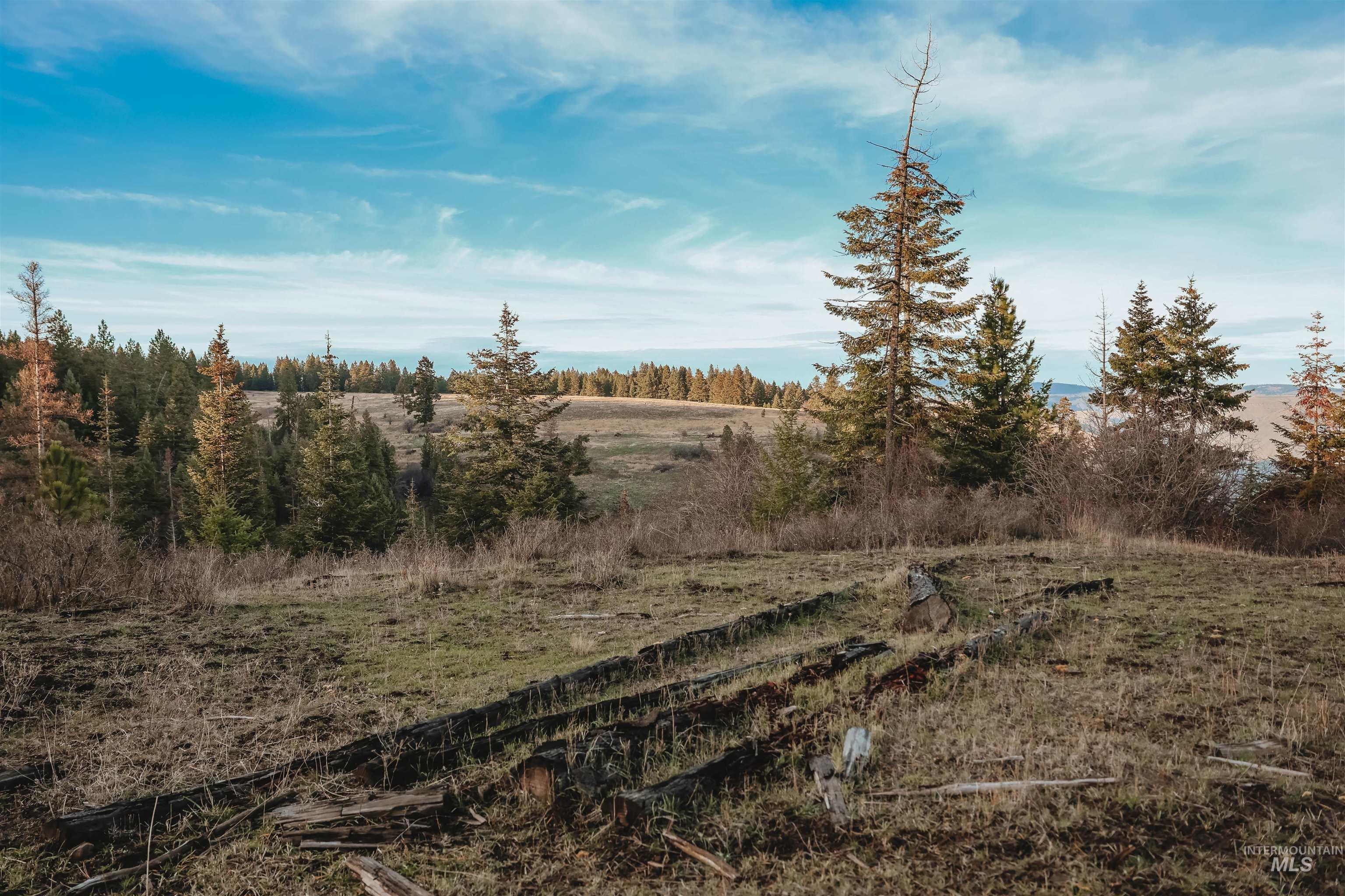 Tbd Boles Road Cottonwood, ID 83522 - Photo 49 of 49 View of yard