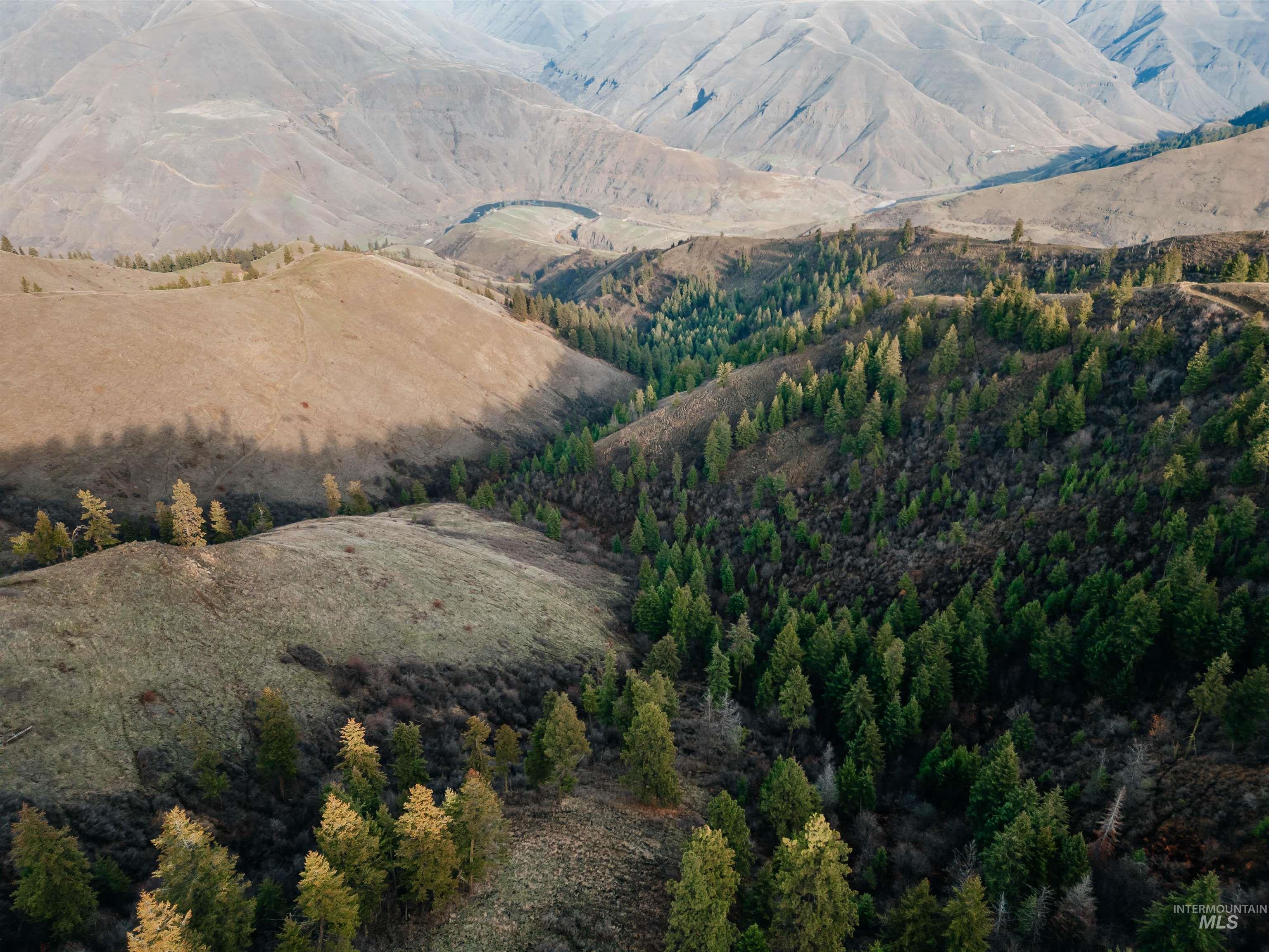 Tbd Boles Road Cottonwood, ID 83522 - Photo 6 of 49 View of mountain backdrop