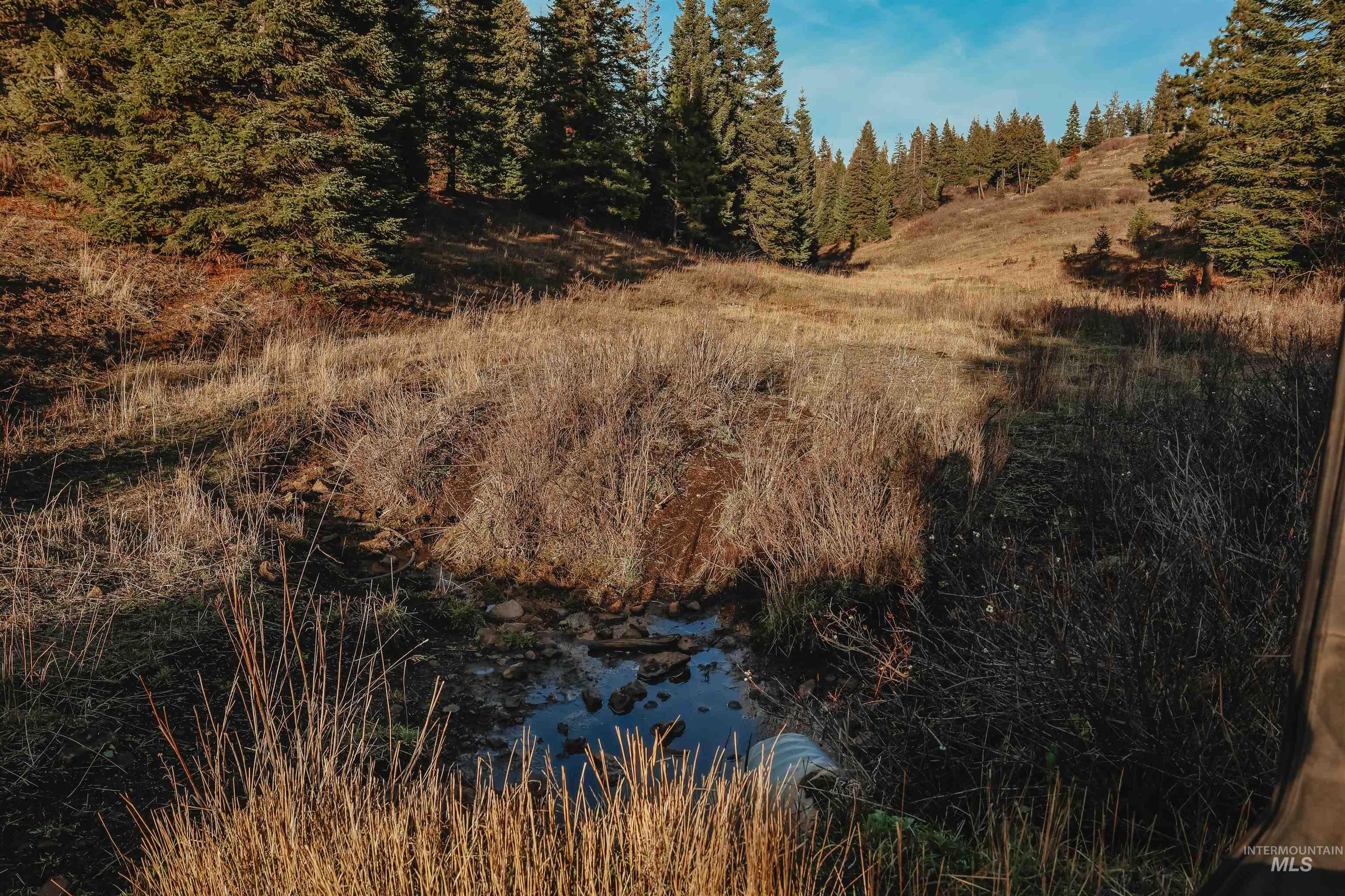 Tbd Boles Road Cottonwood, ID 83522 - Photo 7 of 49 View of nature