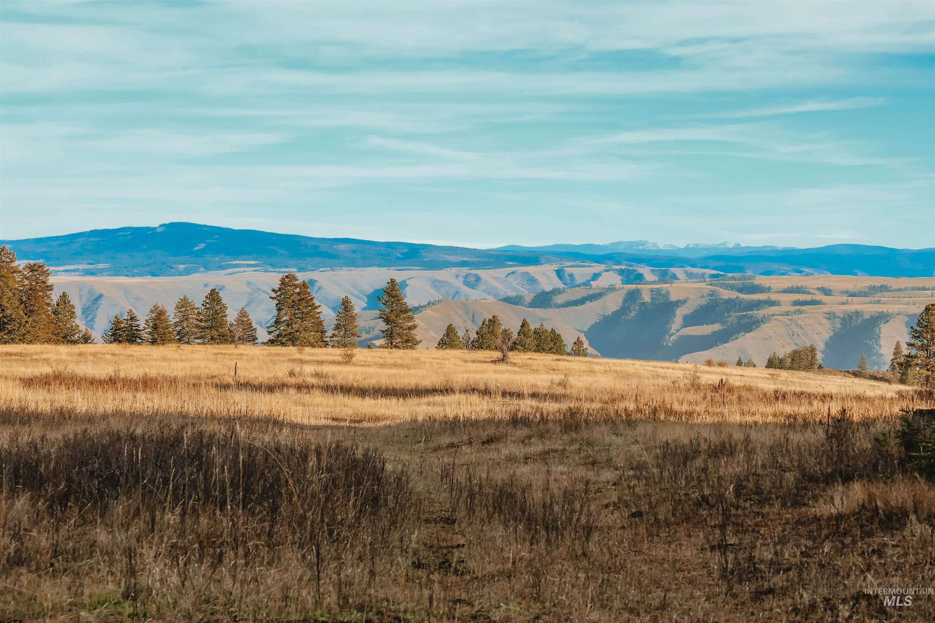 Tbd Boles Road Cottonwood, ID 83522 - Photo 9 of 49 Mountain view with rural landscape
