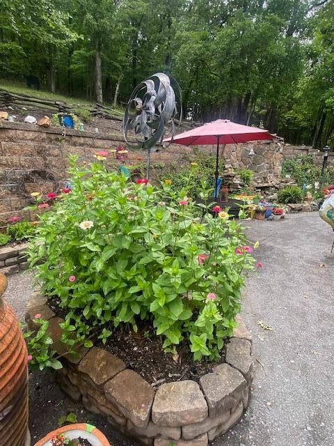 260 Deer Ridge Trail Ocoee, TN 37361 - Photo 14 of 71