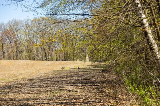 $750,000 | 0 Hurlburt Road, Mondovi, WI 54755