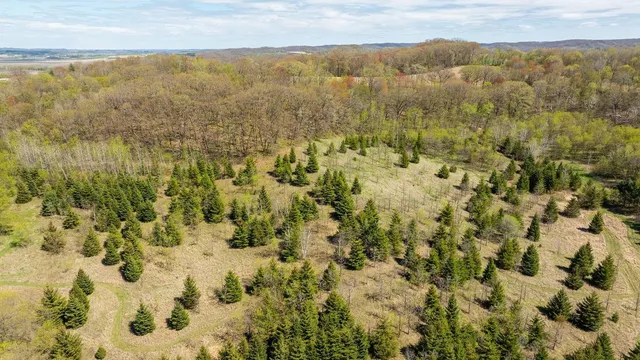 $750,000 | 0 Hurlburt Road, Mondovi, WI 54755