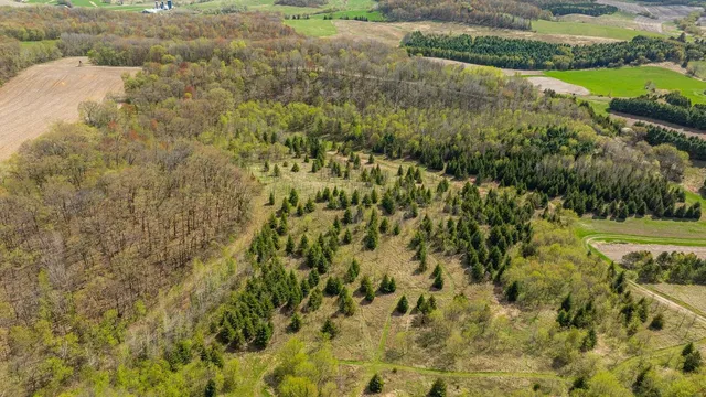 $750,000 | 0 Hurlburt Road, Mondovi, WI 54755