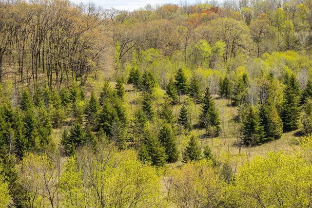 $750,000 | 0 Hurlburt Road, Mondovi, WI 54755