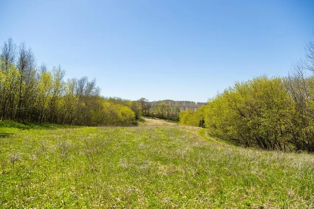 $750,000 | 0 Hurlburt Road, Mondovi, WI 54755