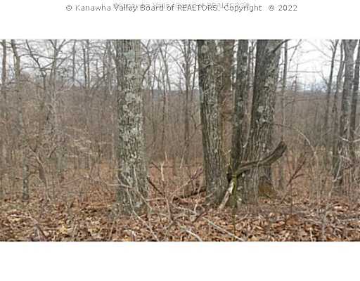 0 Ridge Rise Road Ripley, WV 25271 - Photo 1 of 1 Land/Lot.