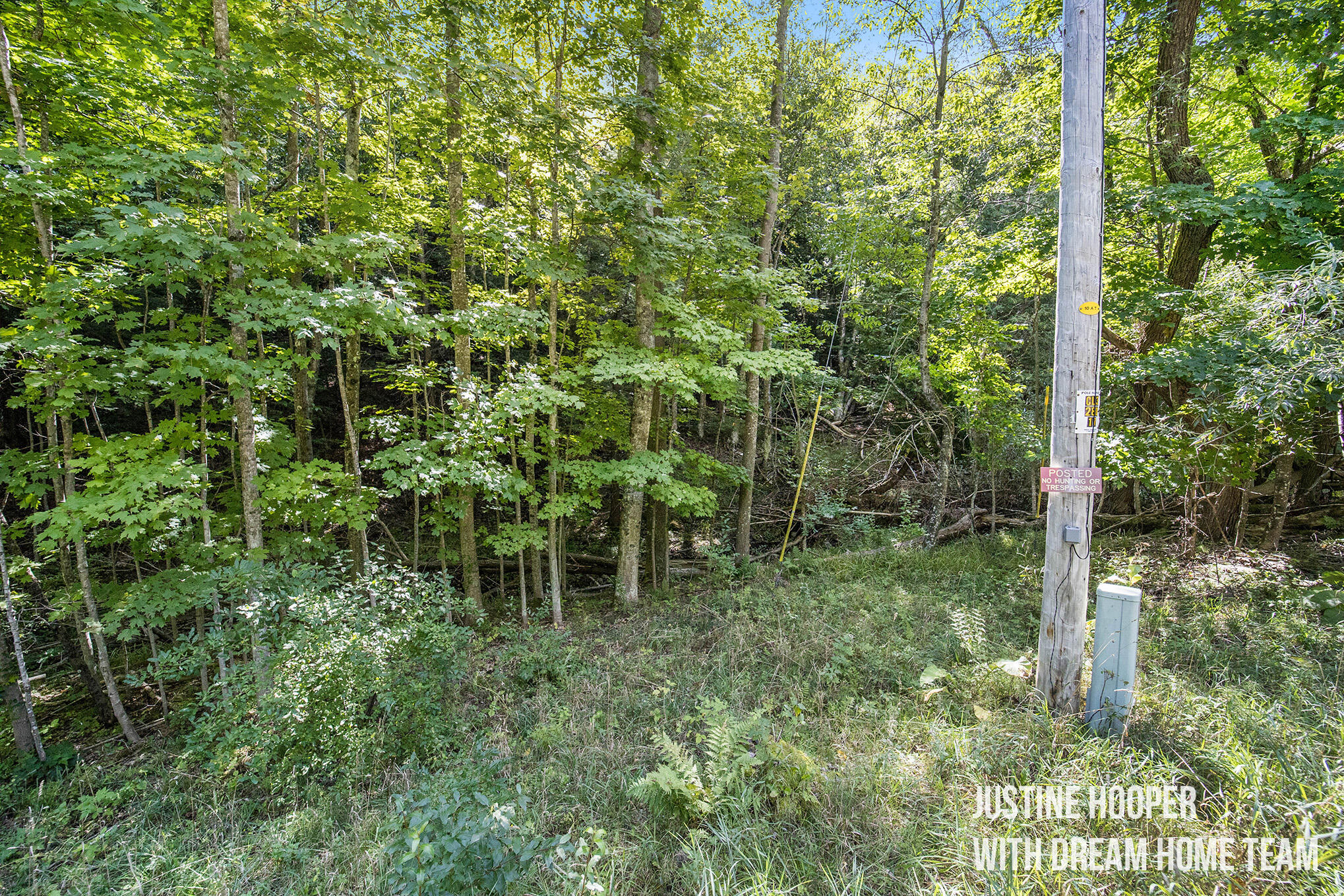 8608 Sisson Road, Unit LOT 2 Central Lake, MI 49622 - Photo 15 of 21 Nextdoorphotostest_10