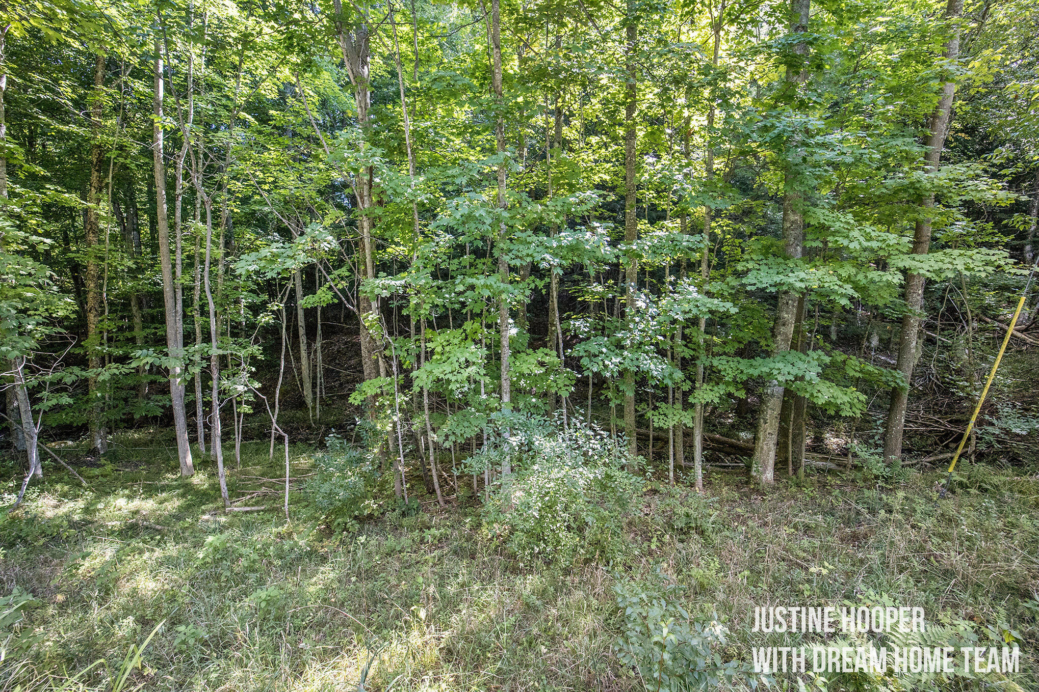8608 Sisson Road, Unit LOT 2 Central Lake, MI 49622 - Photo 16 of 21 Nextdoorphotostest_11