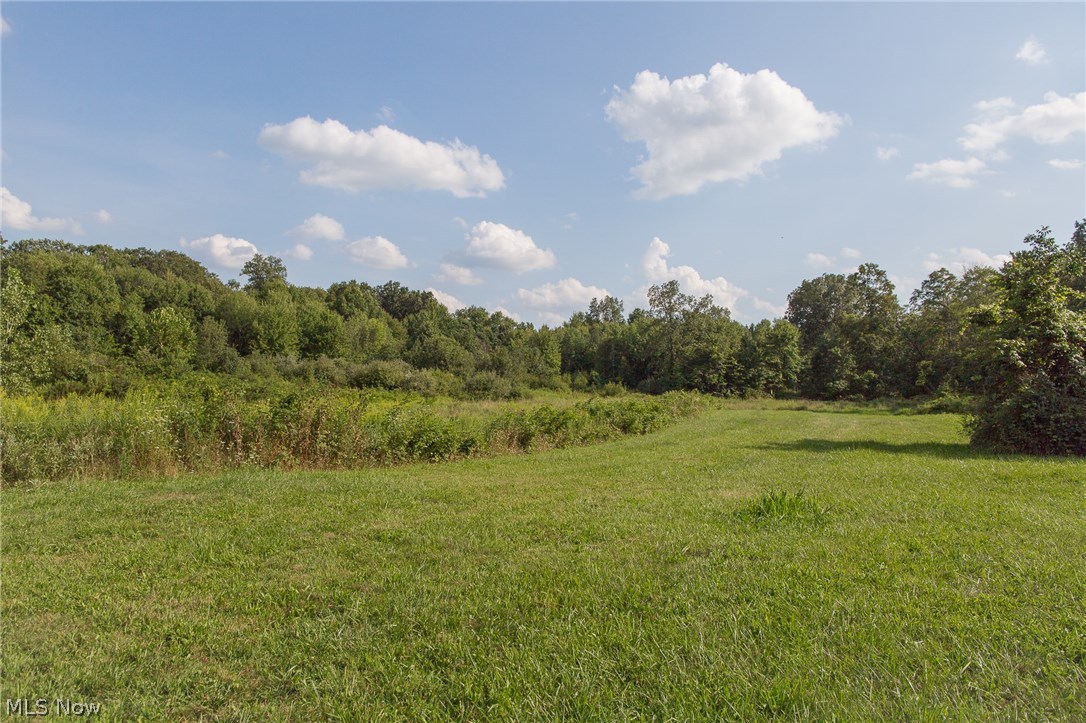 10560 Crawford Road Homerville, OH 44235 - Photo 3 of 27 Gallery Image 3