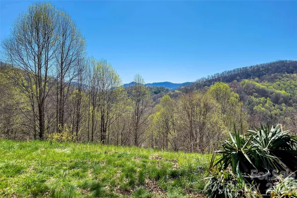 a view of a yard with mountain and trees