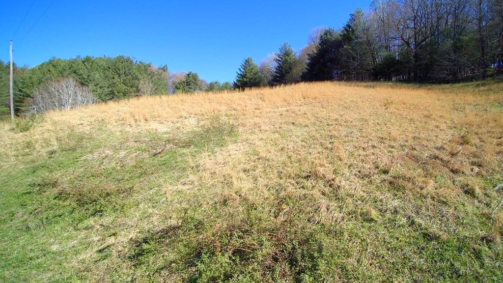 Tbd Dixie Road, Unit 73A79 Independence, VA 24348 - Photo 3 of 15 Gallery Image 3