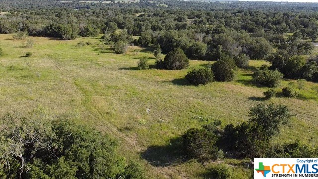 Tbd Tbd Waggener Ranch Road Winters, TX 79567 - Photo 11 of 25
