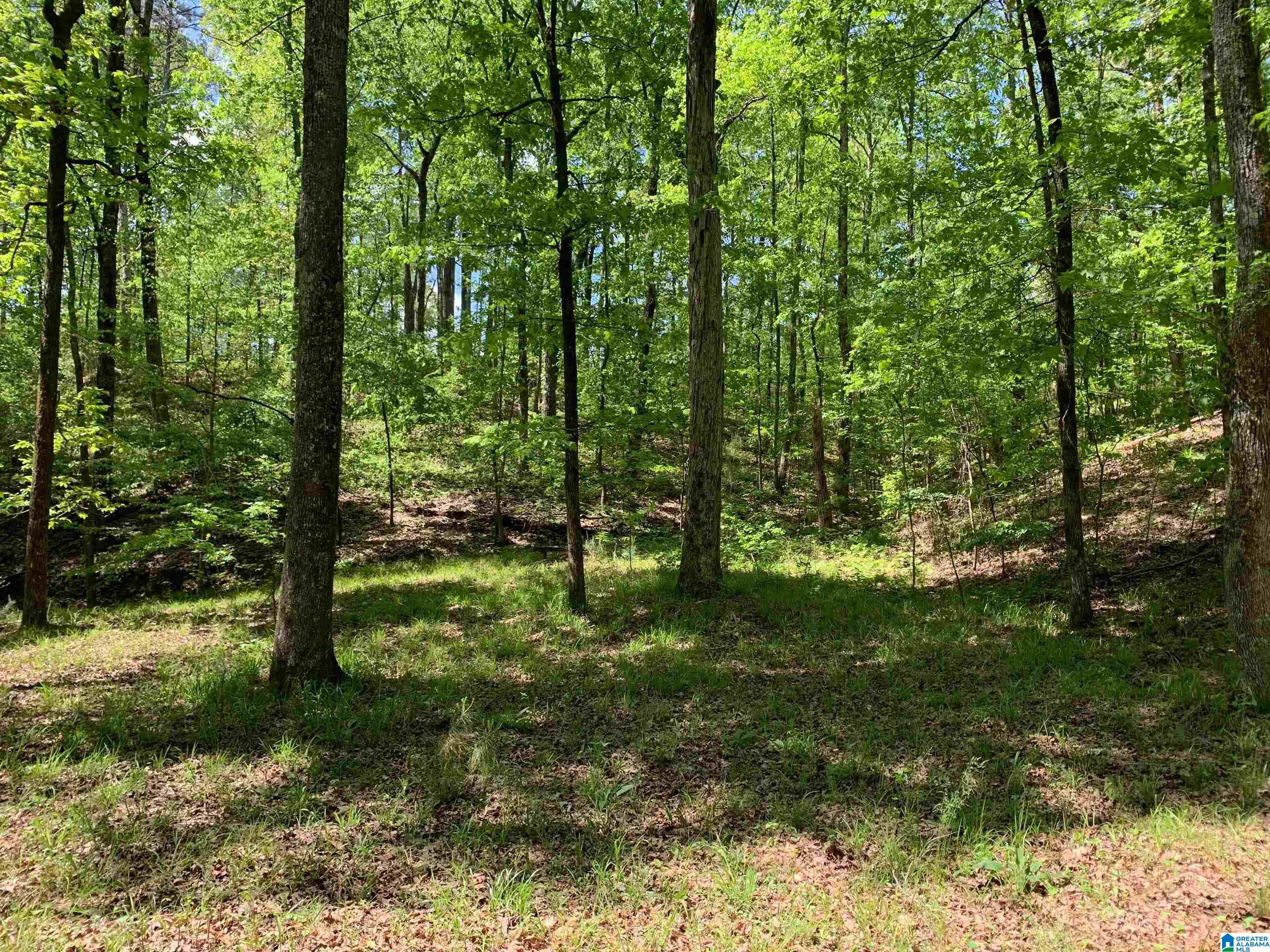 7981 Blackie Curren Road Bessemer, AL 35022 - Photo 4 of 9