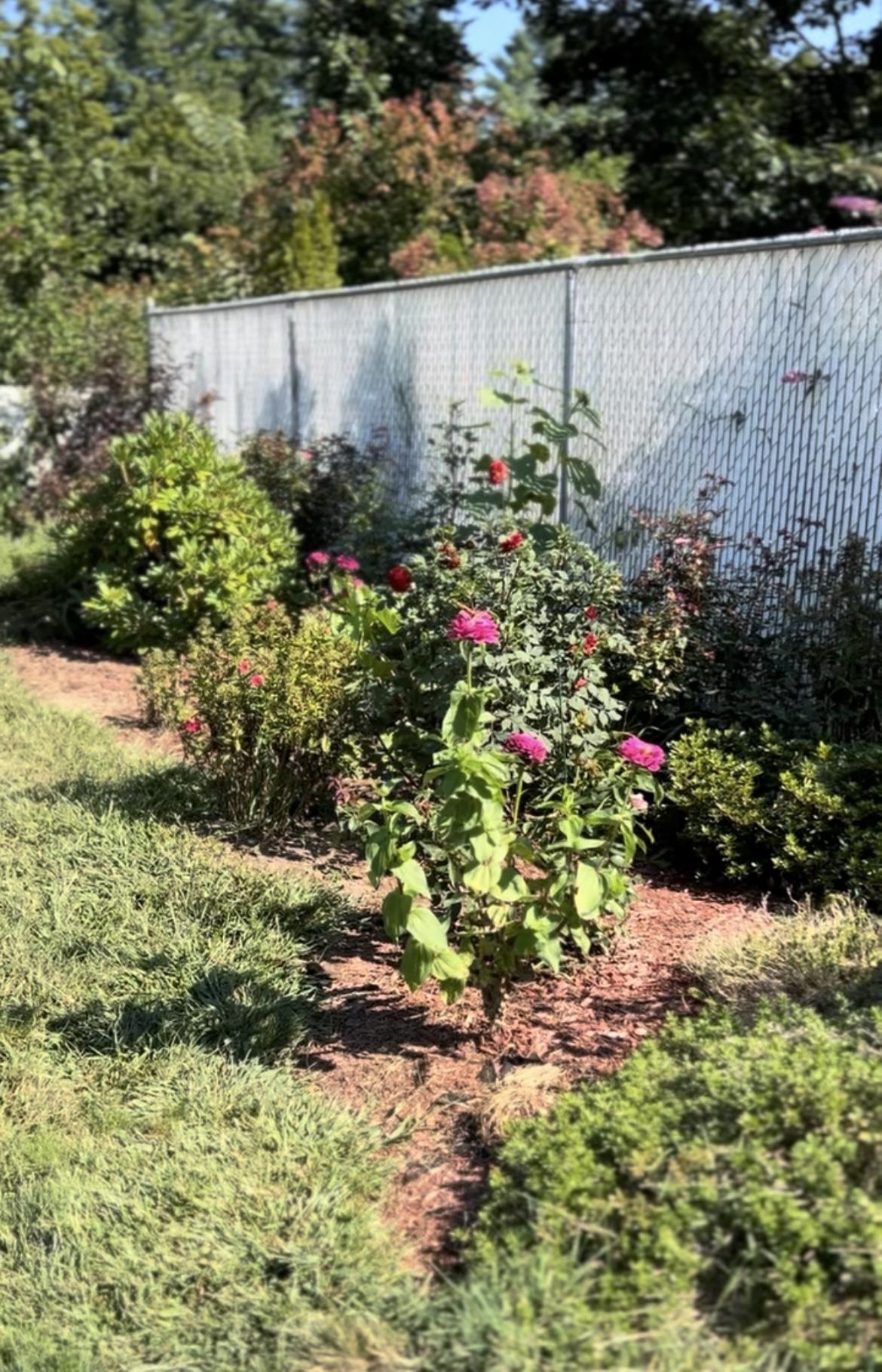 18 Stanton Court Keene, NH 03431 - Photo 50 of 52