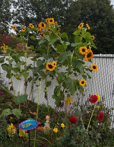 $389,000 | 18 Stanton Court, Keene, NH 03431