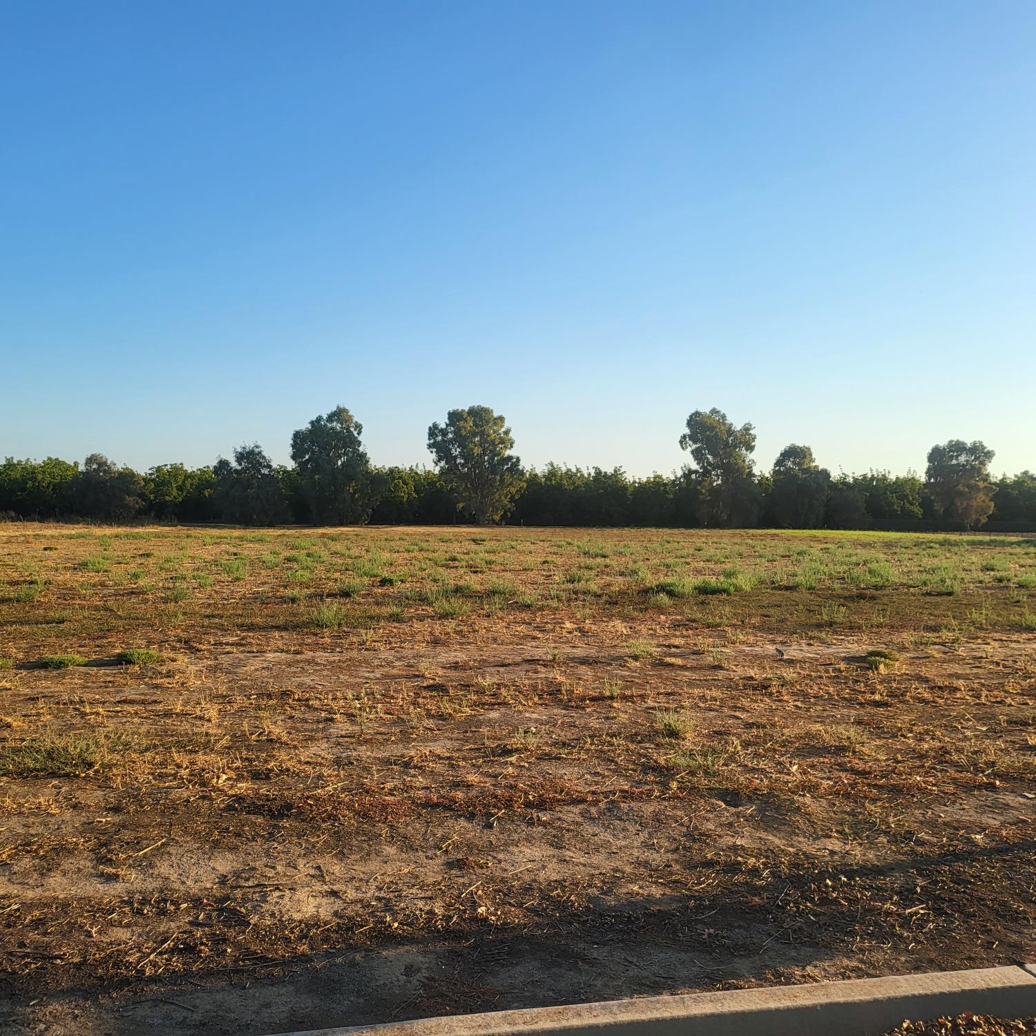 278 Lee Road Nicolaus, CA 95659 - Photo 2 of 5