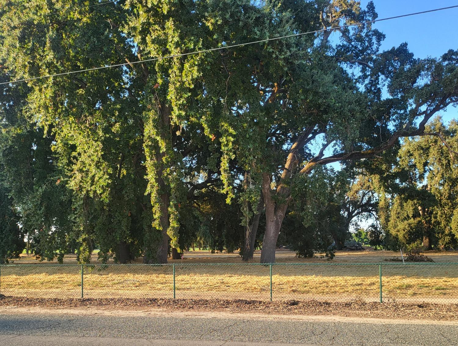 278 Lee Road Nicolaus, CA 95659 - Photo 5 of 5