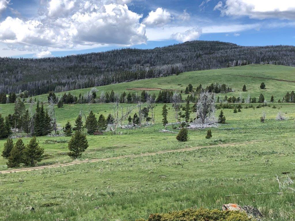 Tbd Indian Creek Road Townsend, MT 59644 - Photo 34 of 50 Gallery Image 34