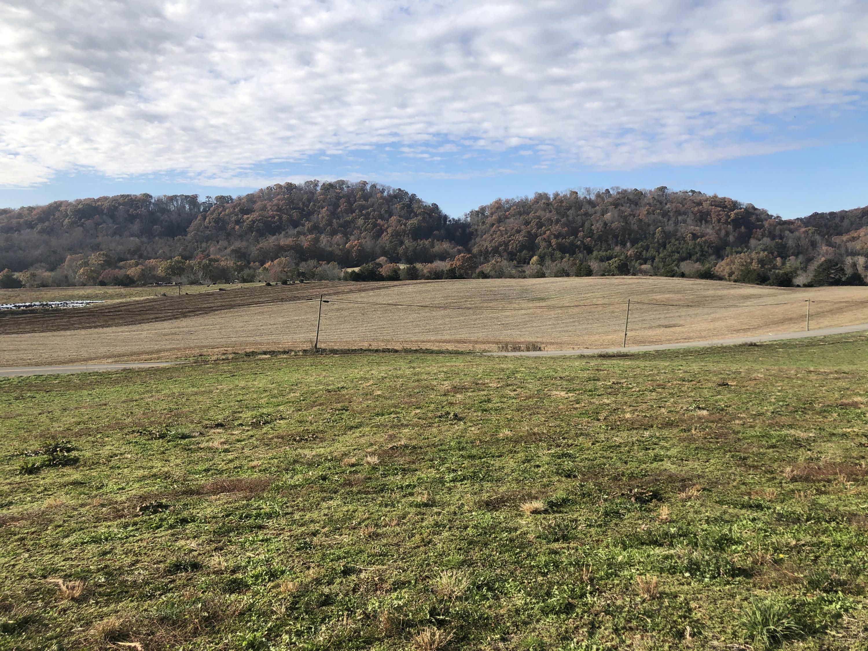 Tbd Pleasant Valley Road, Unit 9 Jonesborough, TN 37659 - Photo 5 of 6 1F7BC5D8-8E5B-43CD-BC13-88C38B82676F