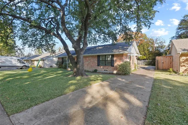 a view of a yard in front of a house with plants and large tree