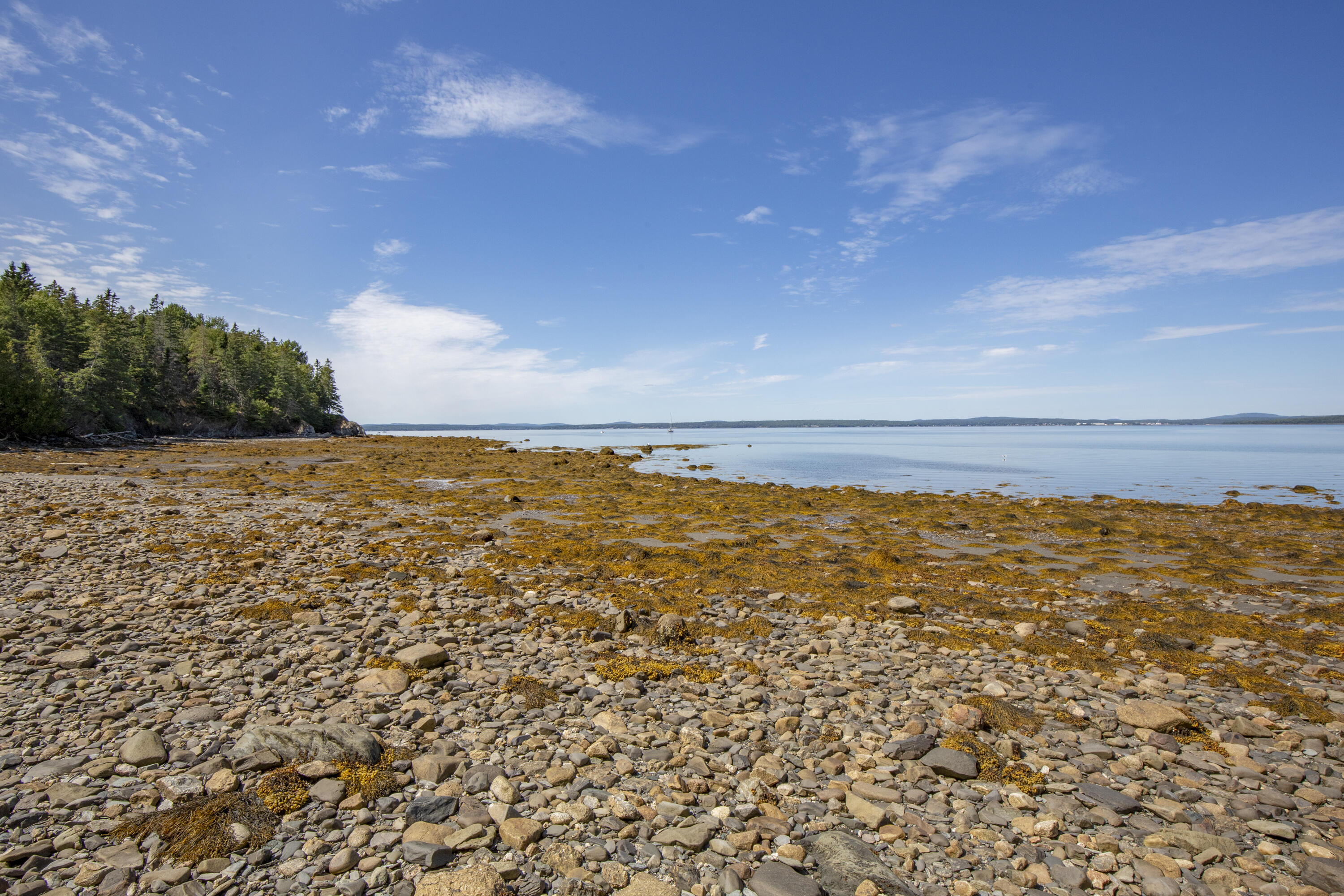 1446 Meadow Pond Road Islesboro, ME 04848 - Photo 2 of 16 24-1446MeadowPondRd-KS