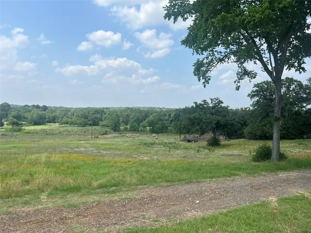 a view of a field of grass and trees