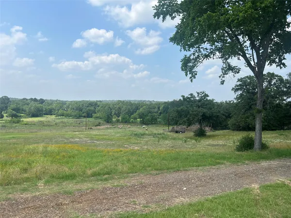 a view of a field of grass and trees