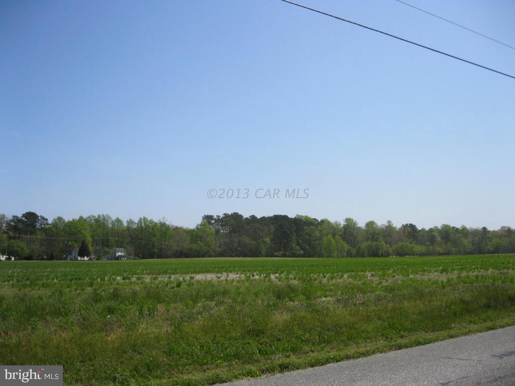 Lot 1 Bird Hill Road Girdletree, MD 21829 - Photo 1 of 8 Gallery Image 1