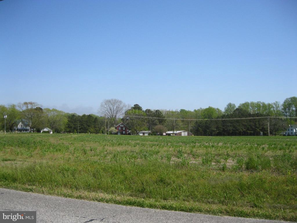 Lot 1 Bird Hill Road Girdletree, MD 21829 - Photo 2 of 8 Gallery Image 2