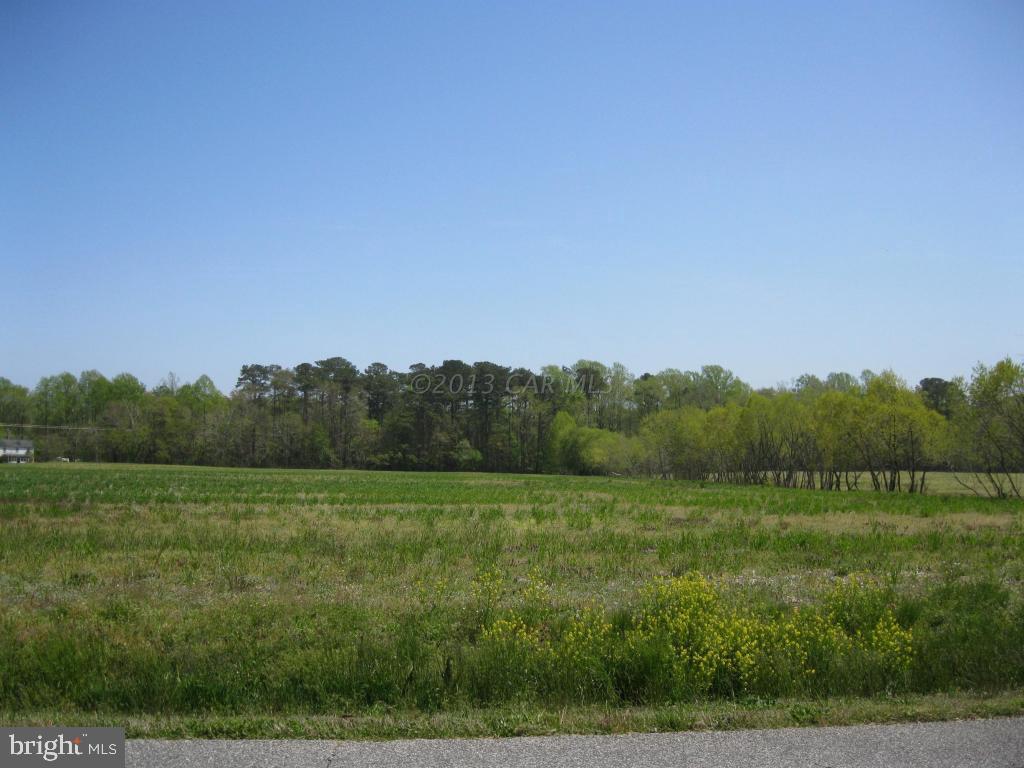Lot 1 Bird Hill Road Girdletree, MD 21829 - Photo 3 of 8 Gallery Image 3