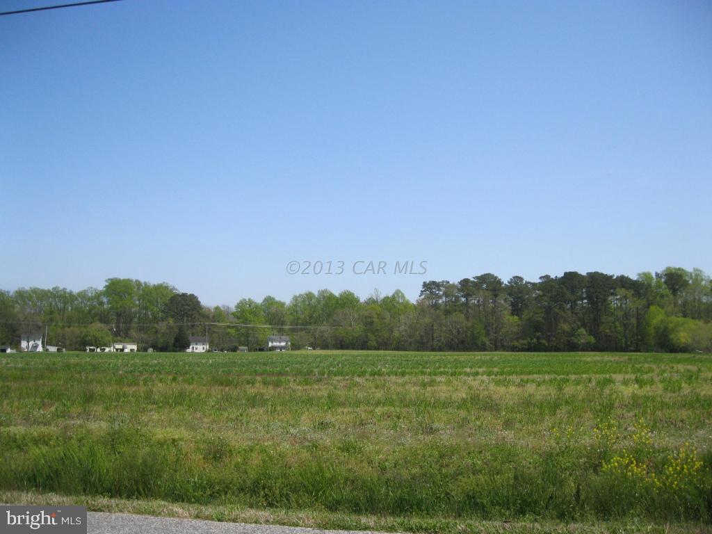 Lot 1 Bird Hill Road Girdletree, MD 21829 - Photo 4 of 8 Gallery Image 4