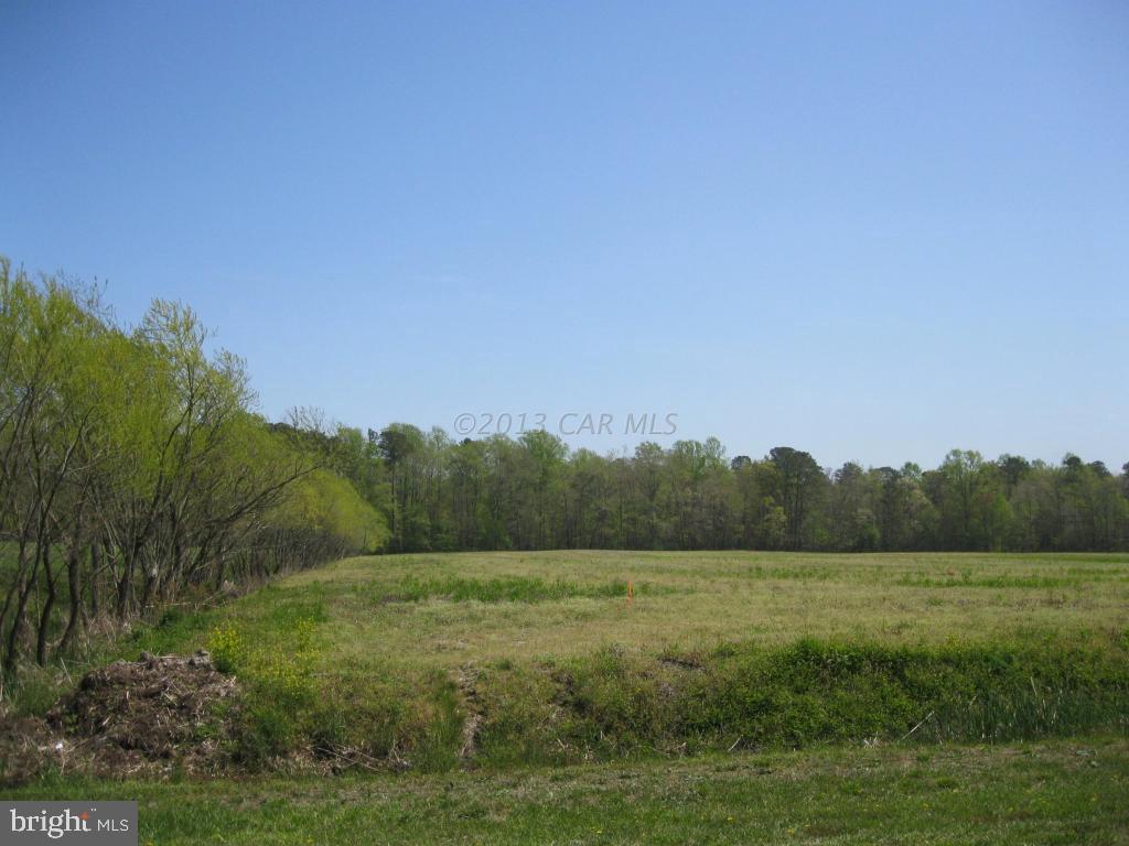 Lot 1 Bird Hill Road Girdletree, MD 21829 - Photo 5 of 8 Gallery Image 5