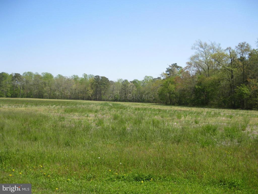Lot 1 Bird Hill Road Girdletree, MD 21829 - Photo 6 of 8 Gallery Image 6