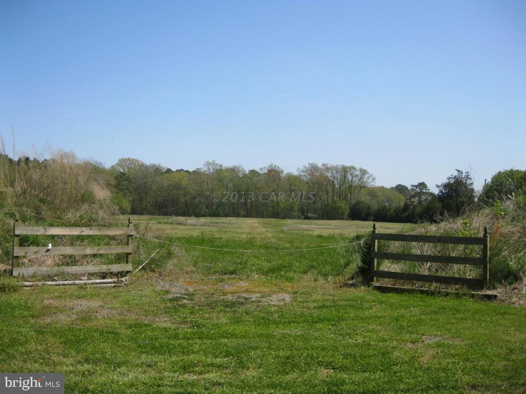 Lot 1 Bird Hill Road Girdletree, MD 21829 - Photo 7 of 8 Gallery Image 7